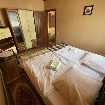 Barvinok Karpat Villa