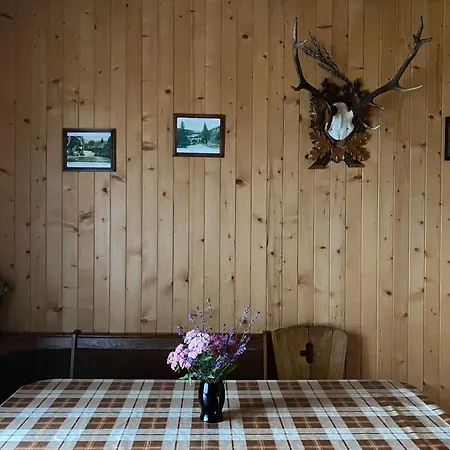 Villa Barvinok Karpat Jaremcse